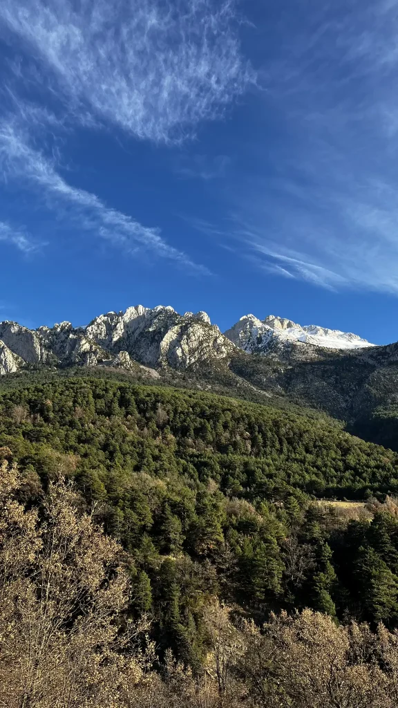 foto puro pirineo